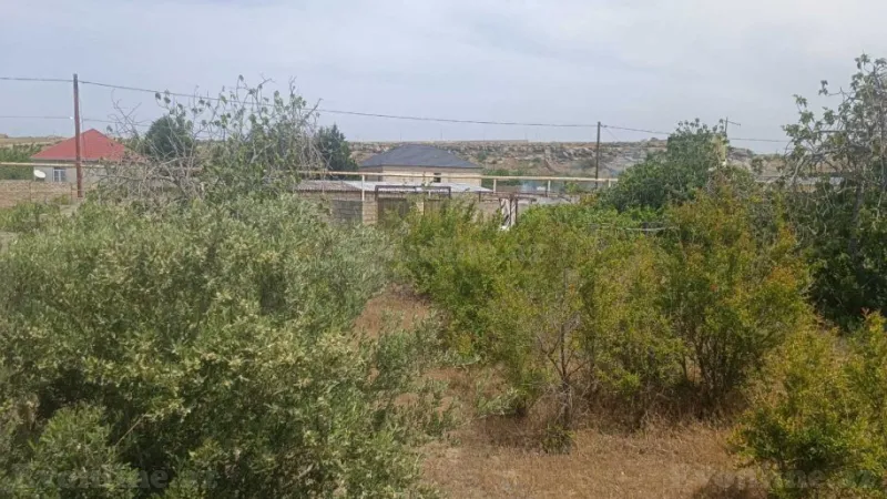 Satılır Torpaq 12 sot Nardaran - şəkil 13