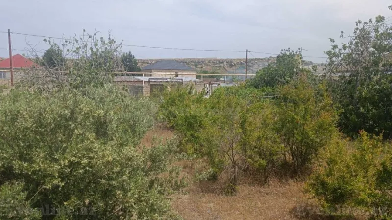 Satılır Torpaq 12 sot Nardaran - şəkil 14