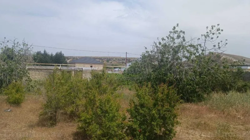 Satılır Torpaq 12 sot Nardaran - şəkil 16