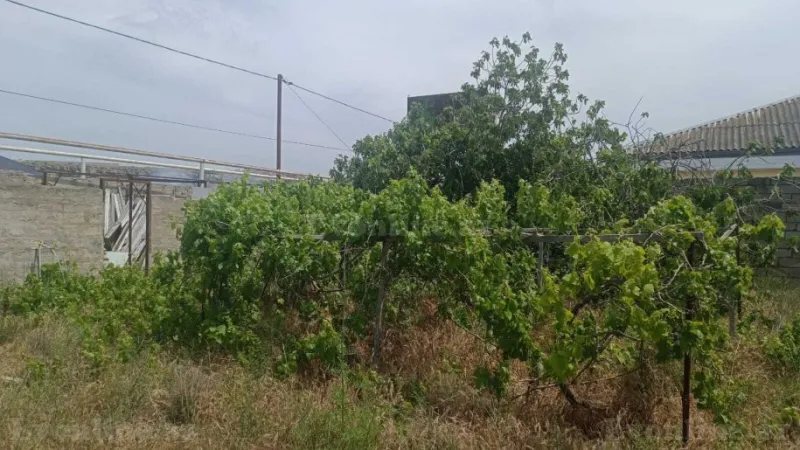 Satılır Torpaq 12 sot Nardaran - şəkil 18