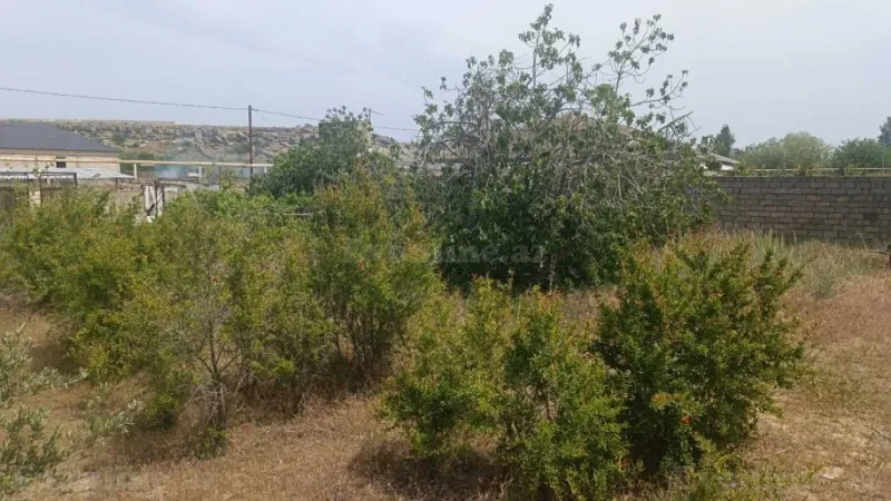 Satılır Torpaq 12 sot Nardaran - şəkil 19