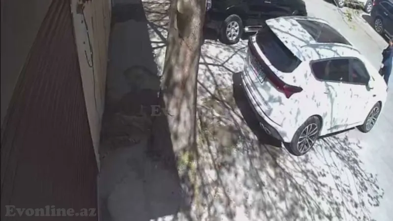 Kirayə verilir Obyekt 20 m² 8-ci mikrorayon - şəkil 10