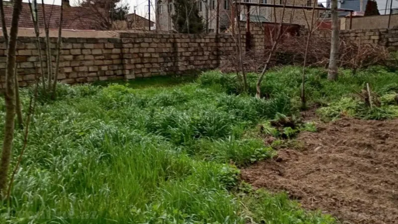 Satılır Torpaq 7 sot Badamdar - şəkil 3