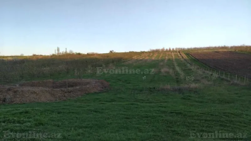 Satılır Torpaq 64 sot Quba - şəkil 5