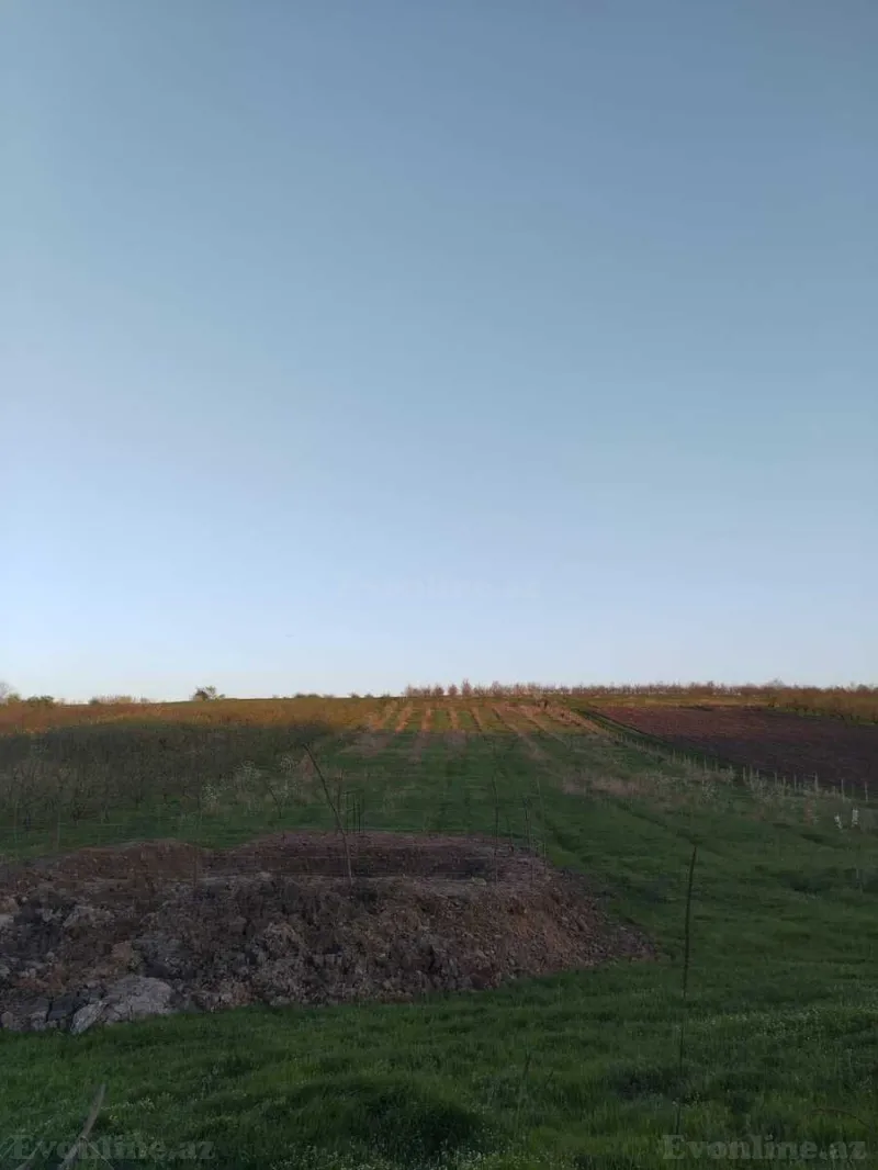 Satılır Torpaq 64 sot Quba - şəkil 6
