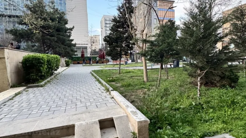 Kirayə verilir 2 otaqlı Mənzil Yeni tikili 50 m² 8-ci mikrorayon - şəkil 29