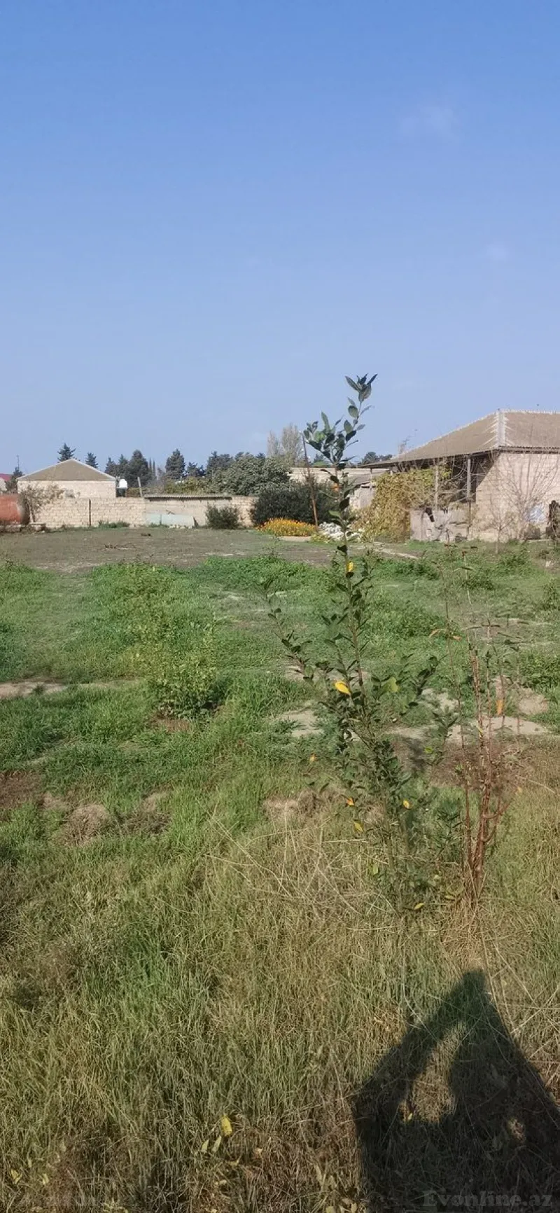 Bakı, Xətai r., NZSda torpaq satılır