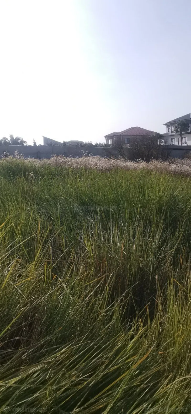 Satılır Torpaq 20 sot NZS - şəkil 5