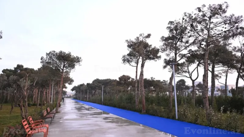 Kirayə verilir 3 otaqlı Mənzil Yeni tikili 150 m² Gənclik m. - şəkil 17