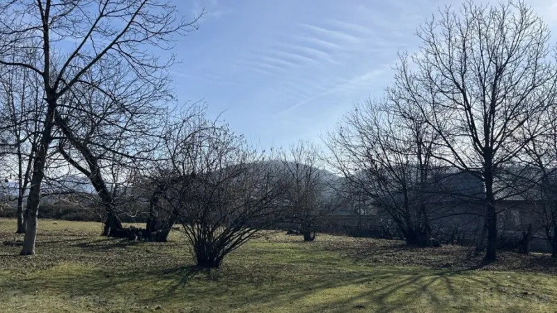 Torpaq Qəbələ Satılır