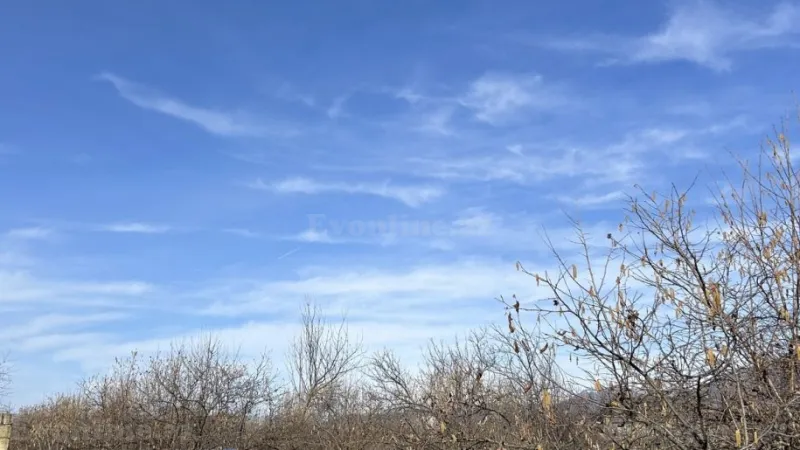 Satılır Torpaq 15 sot Qəbələ - şəkil 2