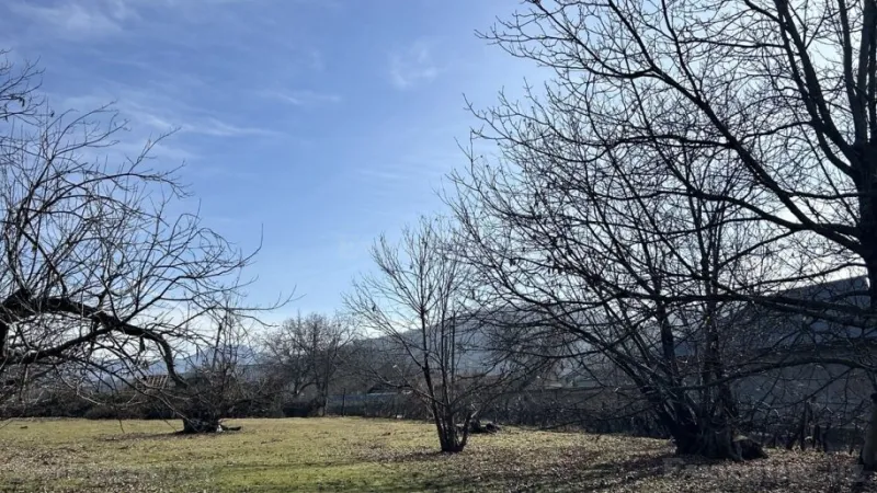 Satılır Torpaq 15 sot Qəbələ - şəkil 3