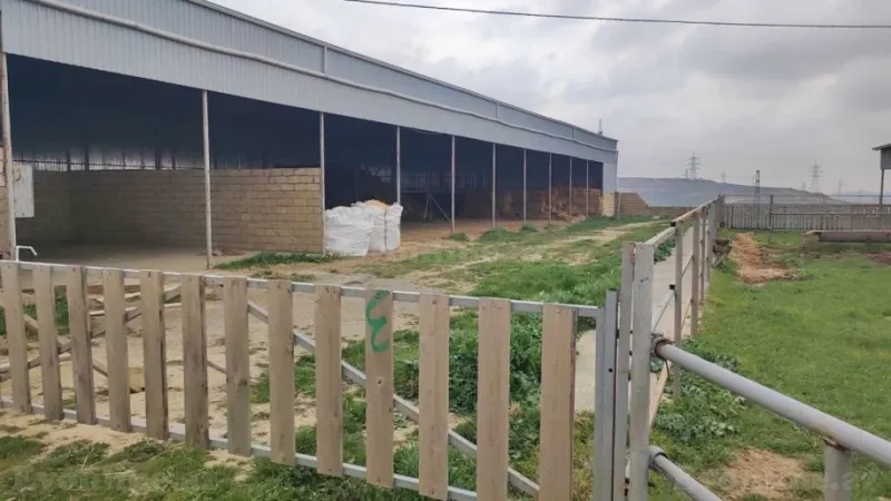 Satılır Obyekt 2000 m² Sabunçu r. - şəkil 2