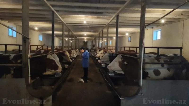 Satılır Obyekt 2000 m² Sabunçu r. - şəkil 3