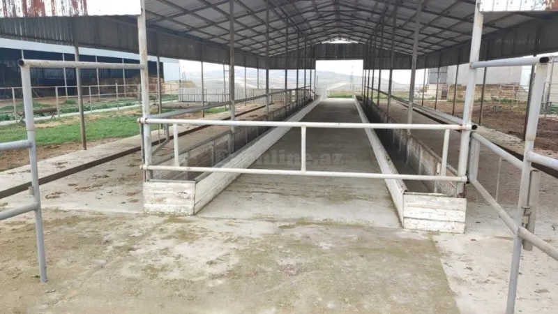 Satılır Obyekt 2000 m² Sabunçu r. - şəkil 4