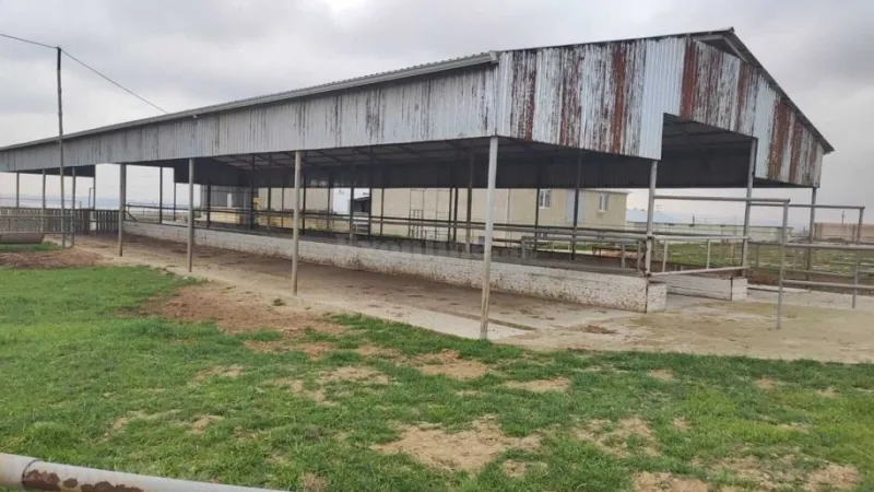 Satılır Obyekt 2000 m² Sabunçu r. - şəkil 6