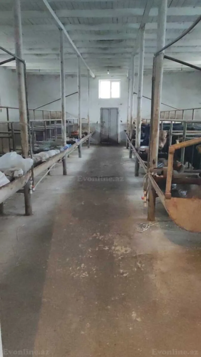 Satılır Obyekt 2000 m² Sabunçu r. - şəkil 13