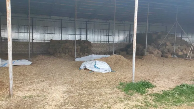 Satılır Obyekt 2000 m² Sabunçu r. - şəkil 20