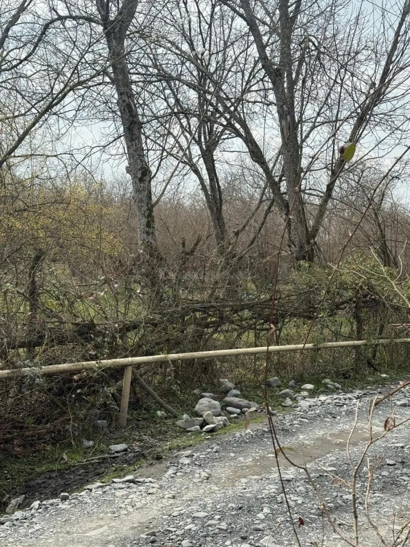 Satılır Torpaq 35 sot Qəbələ - şəkil 4