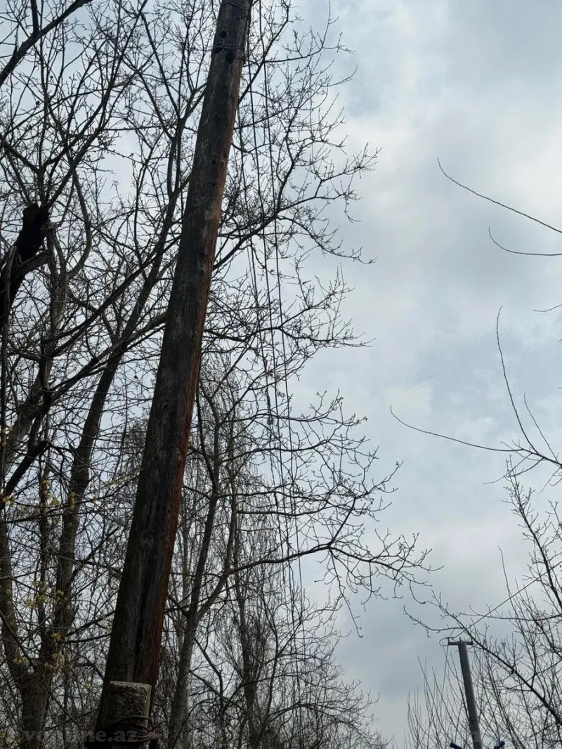 Satılır Torpaq 35 sot Qəbələ - şəkil 5