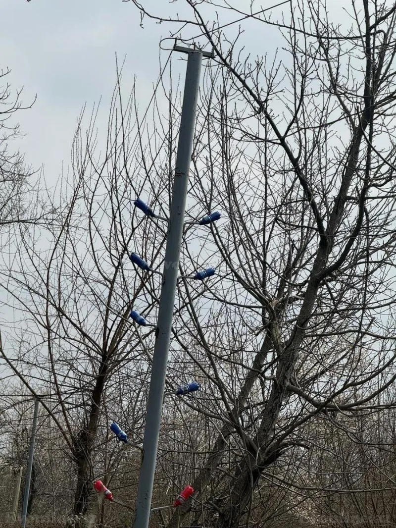 Satılır Torpaq 35 sot Qəbələ - şəkil 6