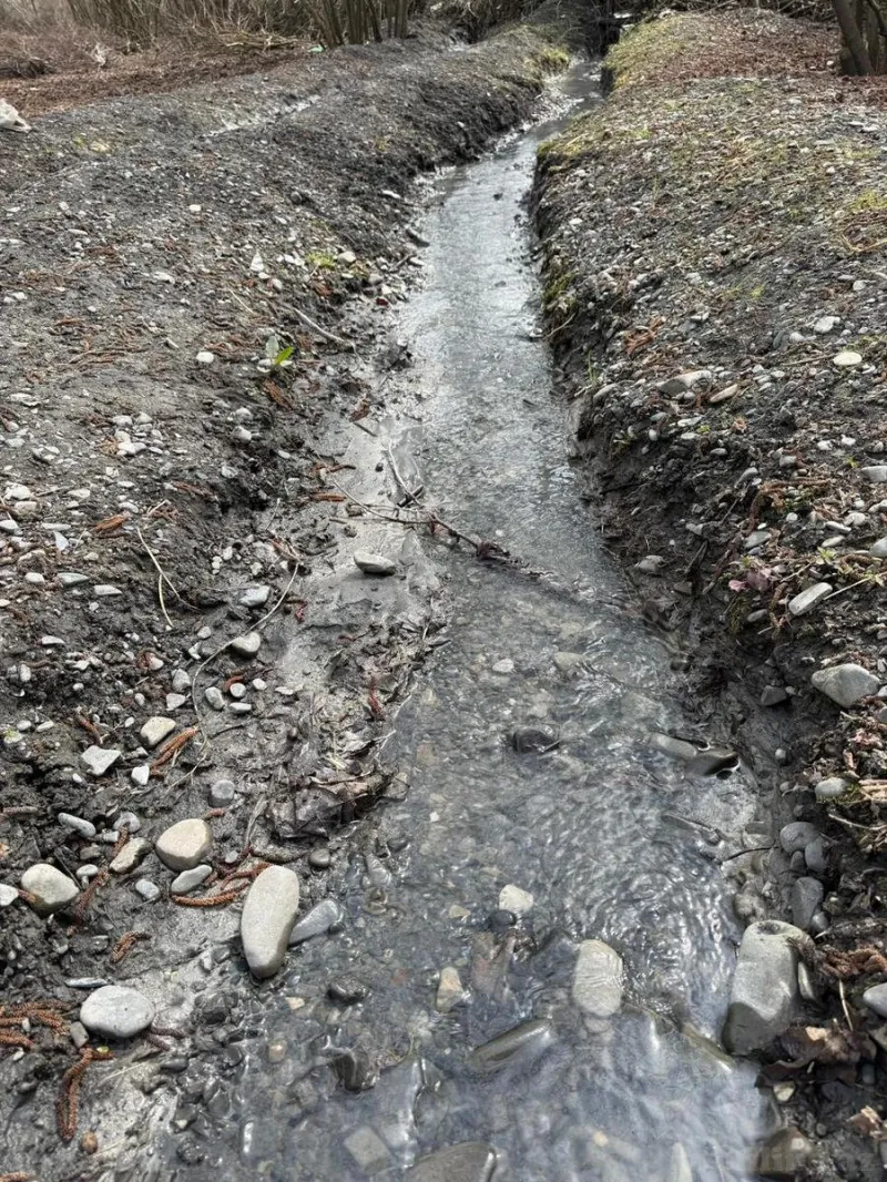 Satılır Torpaq 35 sot Qəbələ - şəkil 7