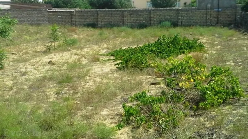 Satılır Torpaq 12 sot Bilgəh