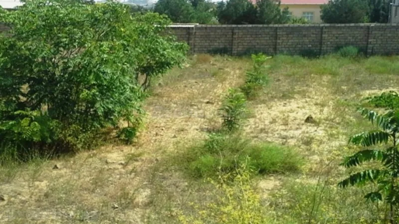 Satılır Torpaq 12 sot Bilgəh - şəkil 2