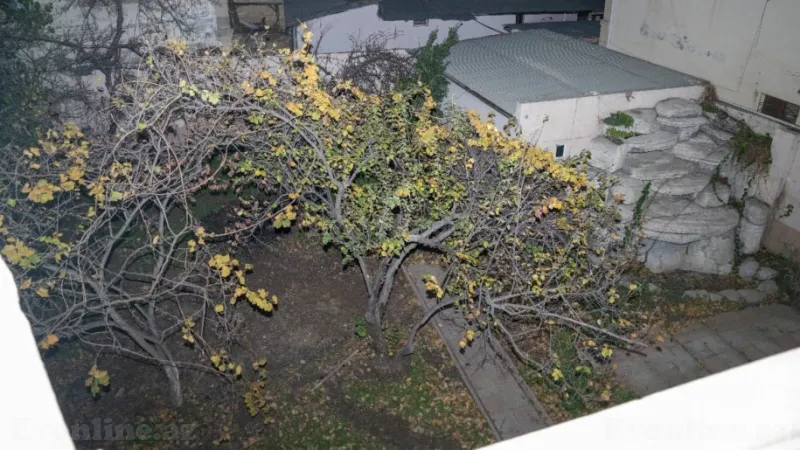 Kirayə verilir Ofis 522 m² Gənclik m. - şəkil 13