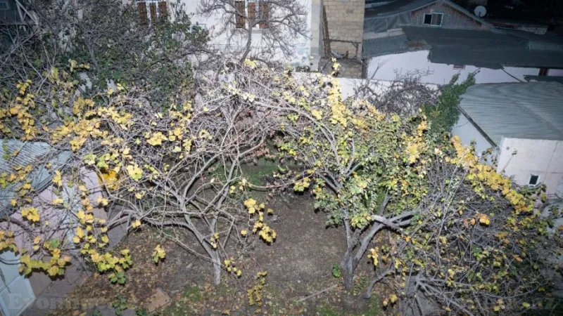 Kirayə verilir Ofis 522 m² Gənclik m. - şəkil 21