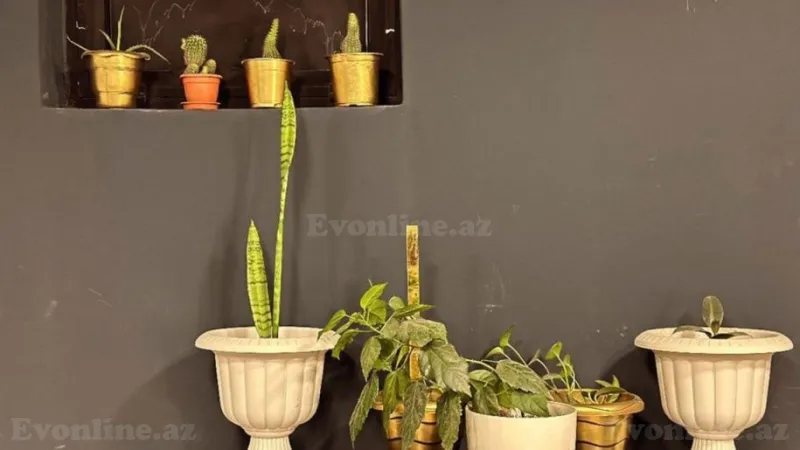 Kirayə verilir Obyekt 24 m² Gənclik m. - şəkil 11