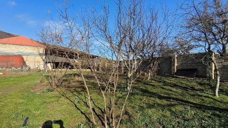 Torpaq Şamaxı Satılır