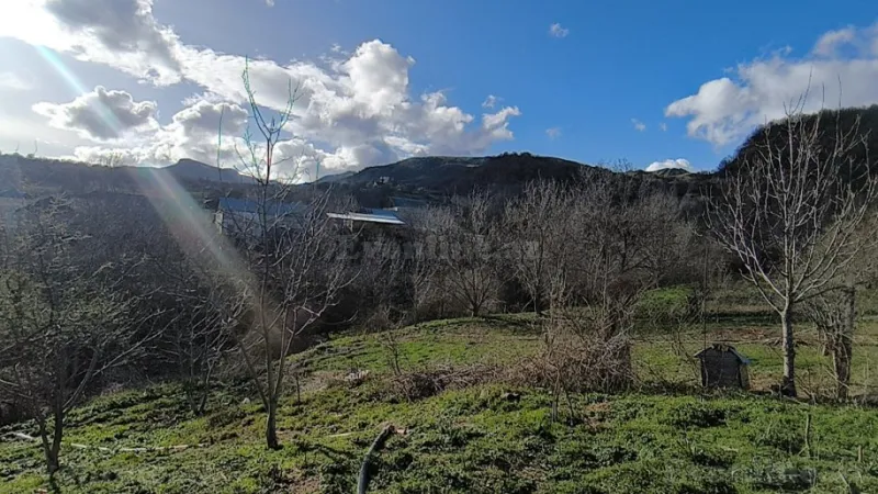 Satılır Torpaq 10 sot Şamaxı - şəkil 3