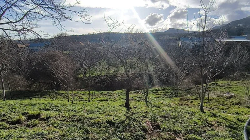 Satılır Torpaq 10 sot Şamaxı - şəkil 5