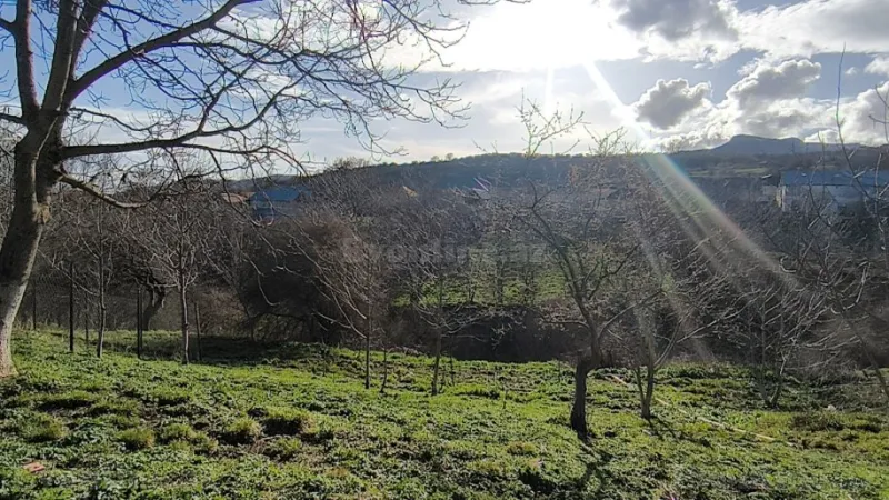 Satılır Torpaq 10 sot Şamaxı - şəkil 6