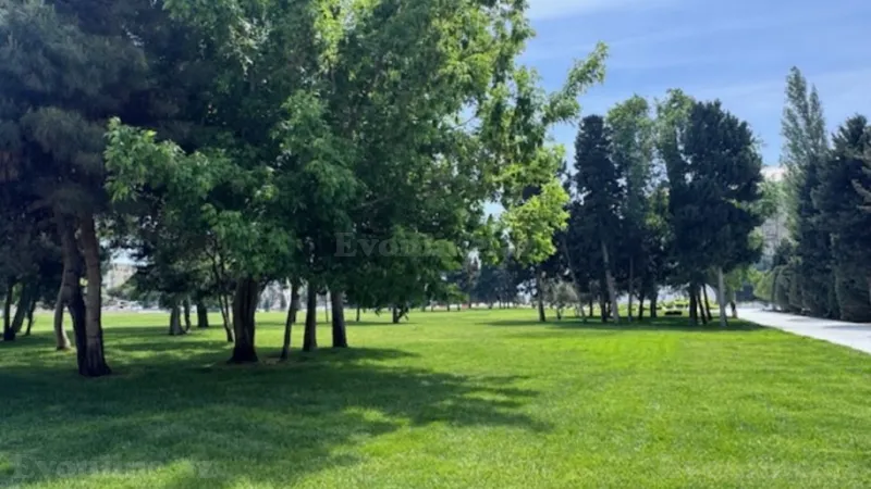 Satılır 3 otaqlı Mənzil Yeni tikili 120 m² Nəriman Nərimanov m. - şəkil 4