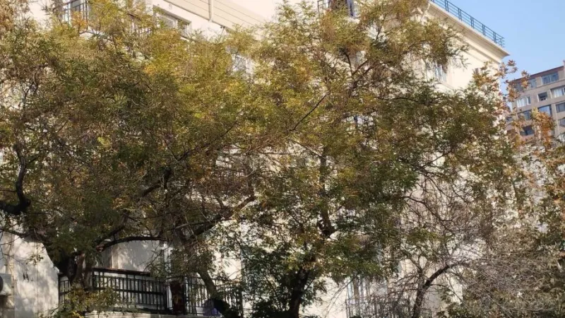 Satılır 4 otaqlı Mənzil Köhnə tikili 140 m² 28 May m. - şəkil 7