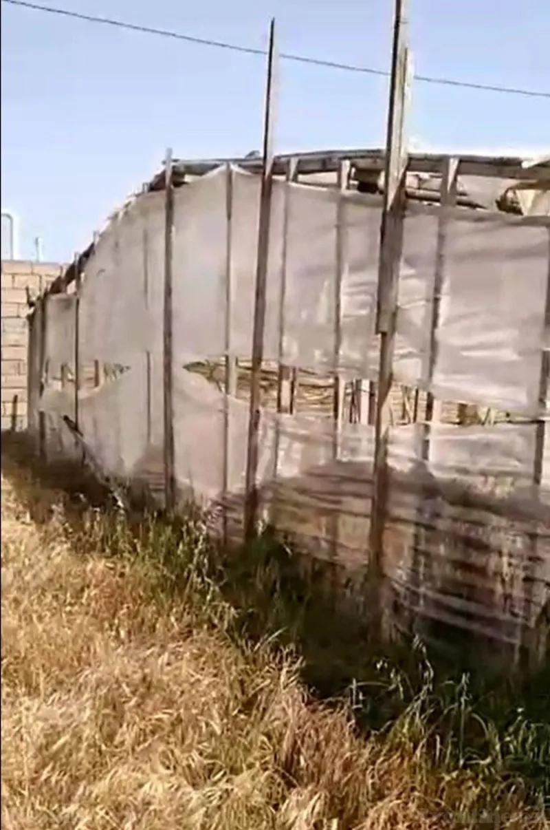 Satılır Torpaq 700 sot Zirə - şəkil 5