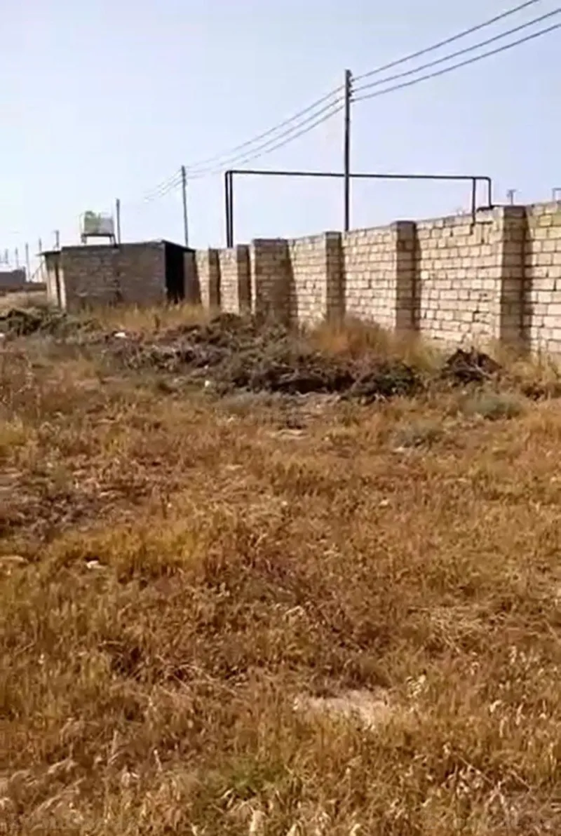 Satılır Torpaq 700 sot Zirə - şəkil 6