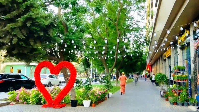 Satılır 3 otaqlı Mənzil Köhnə tikili 80 m² Gənclik m. - şəkil 14