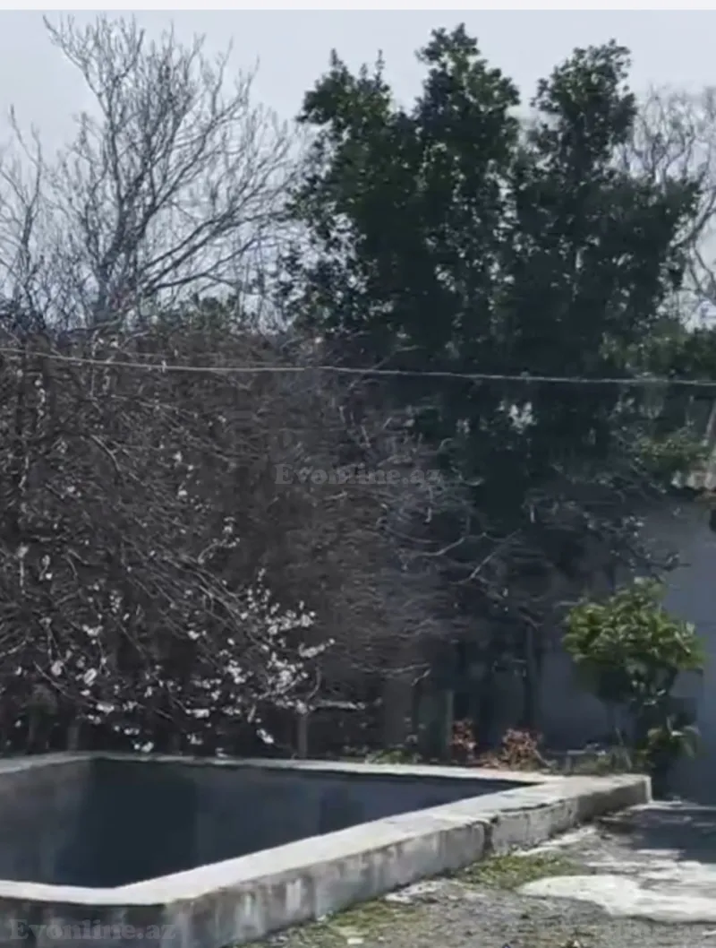 Satılır Torpaq 11 sot 8 Noyabr pr. - şəkil 5