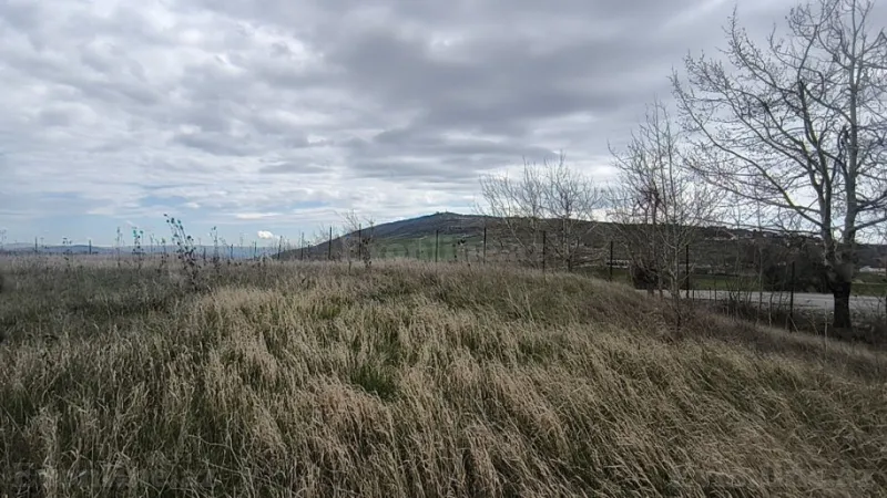 Satılır Torpaq 14 sot Şamaxı - şəkil 2