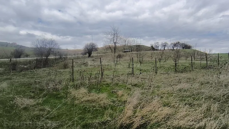 Satılır Torpaq 14 sot Şamaxı - şəkil 3