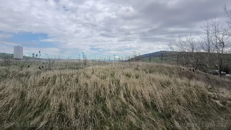 Satılır Torpaq 14 sot Şamaxı - şəkil 4