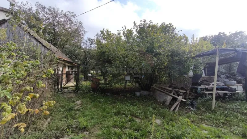 Satılır Torpaq 33 sot Şamaxı - şəkil 2