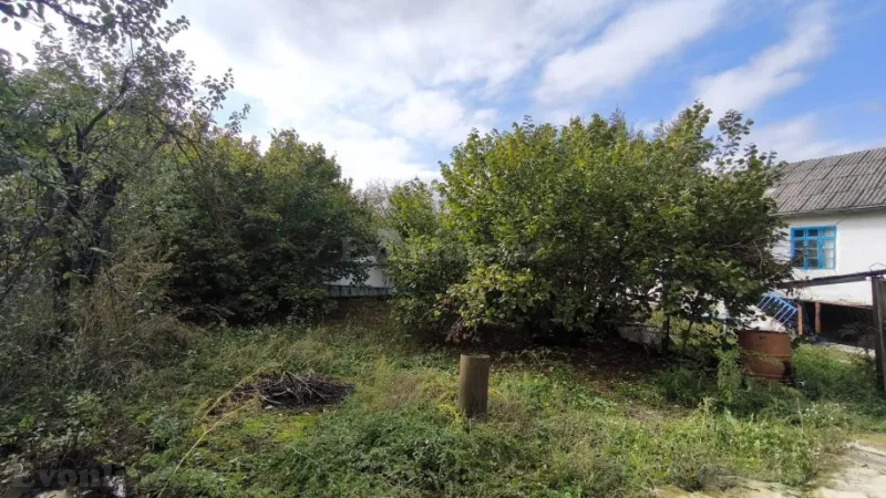 Satılır Torpaq 33 sot Şamaxı - şəkil 5