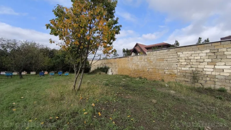 Satılır Torpaq 33 sot Şamaxı - şəkil 6