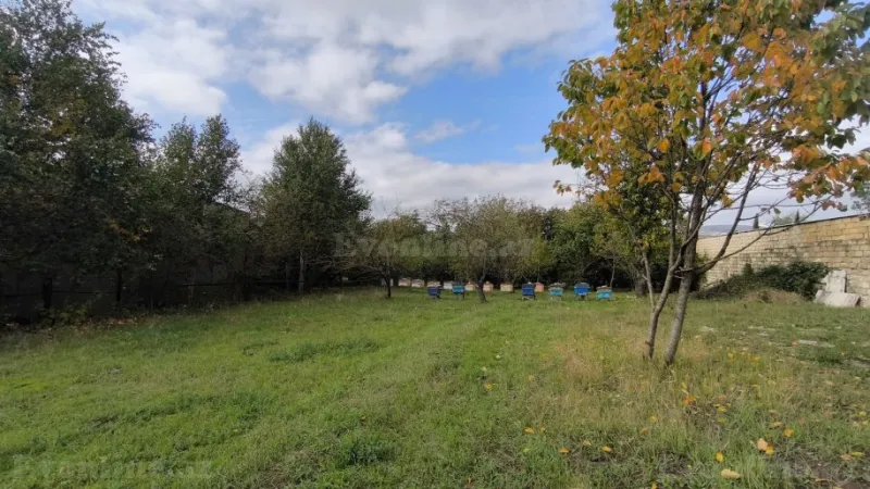 Satılır Torpaq 33 sot Şamaxı - şəkil 7