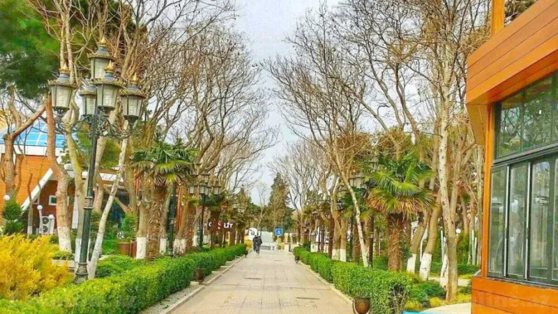 2 otaqlı Mənzil 75 m² Nərimanov r. Satılır