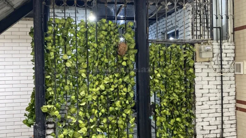 Satılır 2 otaqlı Mənzil Köhnə tikili 46 m² Sahil m. - şəkil 5